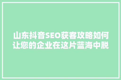 山东抖音SEO获客攻略如何让您的企业在这片蓝海中脱颖而出