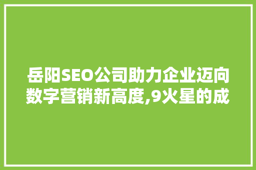 岳阳SEO公司助力企业迈向数字营销新高度,9火星的成功之路