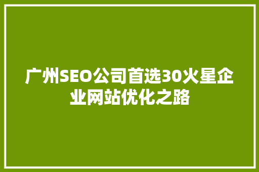 广州SEO公司首选30火星企业网站优化之路