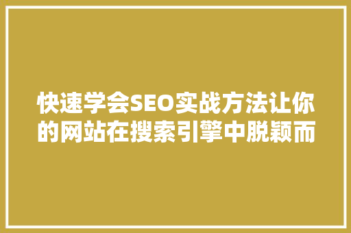 快速学会SEO实战方法让你的网站在搜索引擎中脱颖而出
