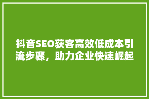 抖音SEO获客高效低成本引流步骤，助力企业快速崛起