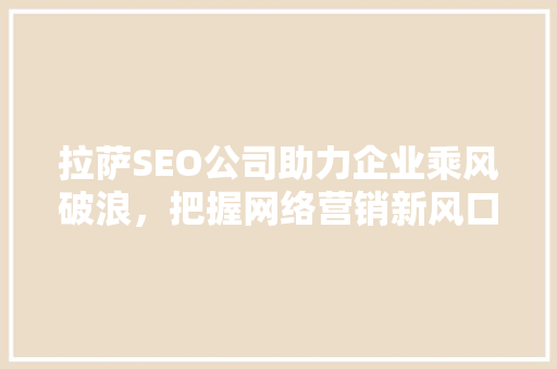 拉萨SEO公司助力企业乘风破浪，把握网络营销新风口