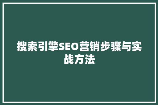 搜索引擎SEO营销步骤与实战方法