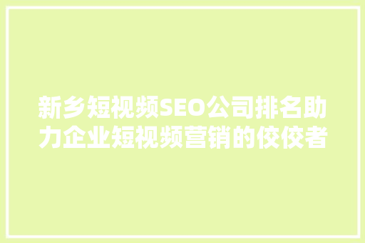新乡短视频SEO公司排名助力企业短视频营销的佼佼者