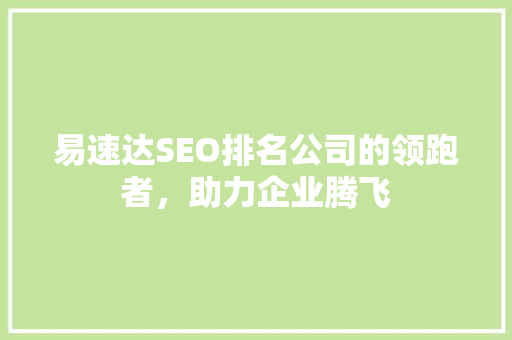 易速达SEO排名公司的领跑者，助力企业腾飞