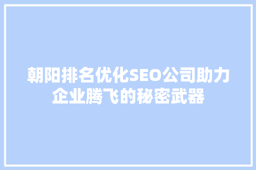 朝阳排名优化SEO公司助力企业腾飞的秘密武器