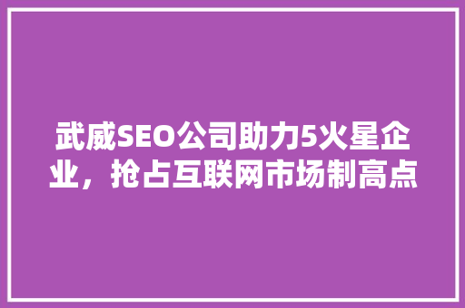 武威SEO公司助力5火星企业，抢占互联网市场制高点