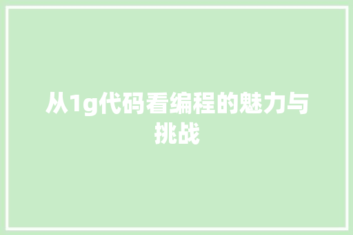 从1g代码看编程的魅力与挑战
