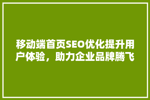 移动端首页SEO优化提升用户体验，助力企业品牌腾飞