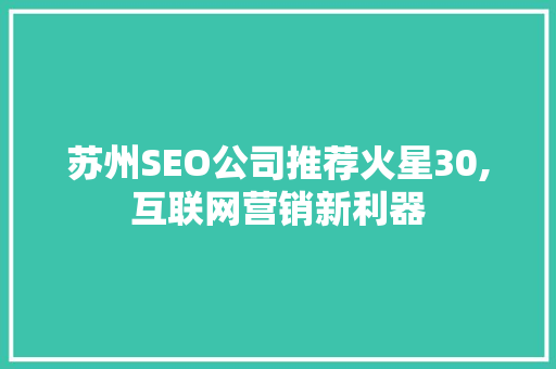苏州SEO公司推荐火星30,互联网营销新利器
