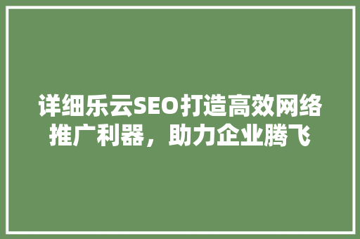 详细乐云SEO打造高效网络推广利器，助力企业腾飞