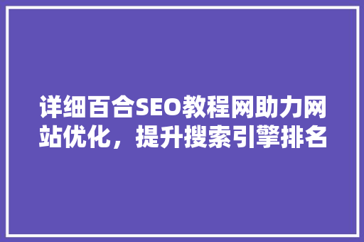 详细百合SEO教程网助力网站优化，提升搜索引擎排名