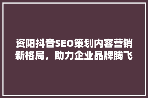 资阳抖音SEO策划内容营销新格局，助力企业品牌腾飞