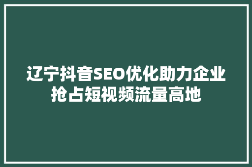 辽宁抖音SEO优化助力企业抢占短视频流量高地