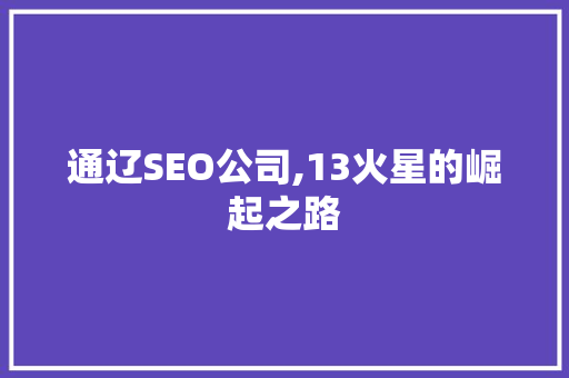 通辽SEO公司,13火星的崛起之路
