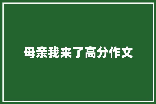 代码b现代编程语言的基石