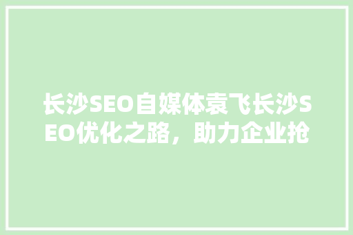 长沙SEO自媒体袁飞长沙SEO优化之路，助力企业抢占市场先机