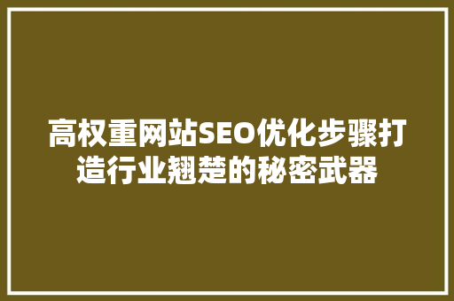 高权重网站SEO优化步骤打造行业翘楚的秘密武器