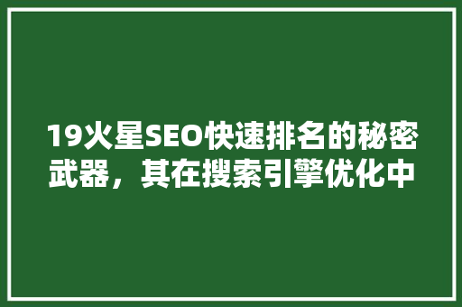 19火星SEO快速排名的秘密武器，其在搜索引擎优化中的应用