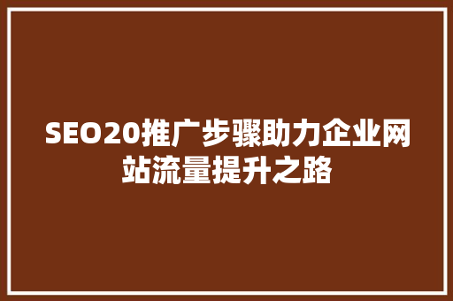 SEO20推广步骤助力企业网站流量提升之路