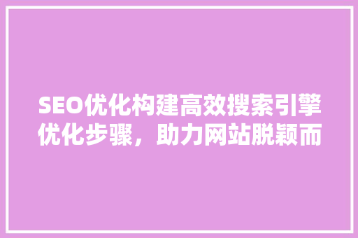 SEO优化构建高效搜索引擎优化步骤，助力网站脱颖而出