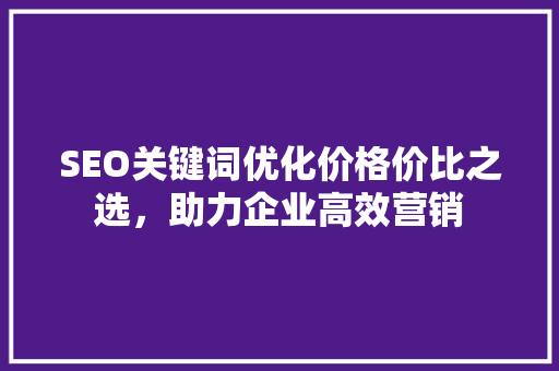 SEO关键词优化价格价比之选，助力企业高效营销