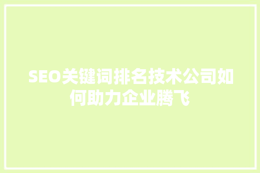 SEO关键词排名技术公司如何助力企业腾飞