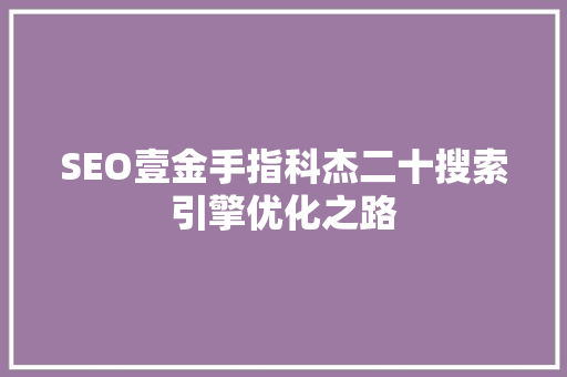 SEO壹金手指科杰二十搜索引擎优化之路