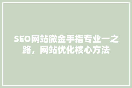 SEO网站微金手指专业一之路，网站优化核心方法