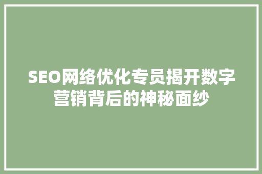 SEO网络优化专员揭开数字营销背后的神秘面纱
