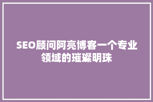 SEO顾问阿亮博客一个专业领域的璀璨明珠