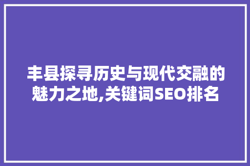 丰县探寻历史与现代交融的魅力之地,关键词SEO排名策划分析