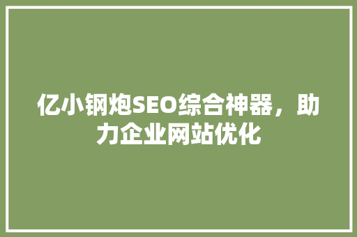 亿小钢炮SEO综合神器，助力企业网站优化