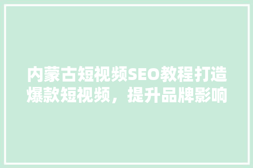 内蒙古短视频SEO教程打造爆款短视频，提升品牌影响力
