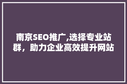 南京SEO推广,选择专业站群，助力企业高效提升网站排名