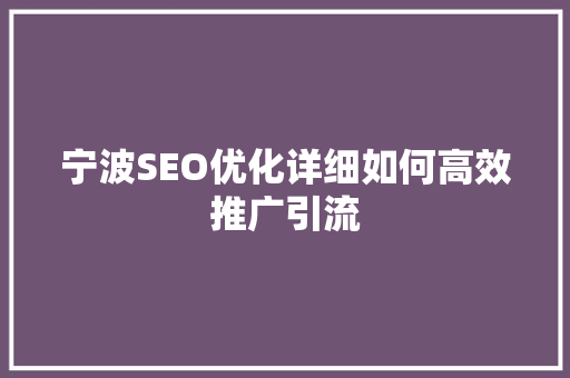 宁波SEO优化详细如何高效推广引流