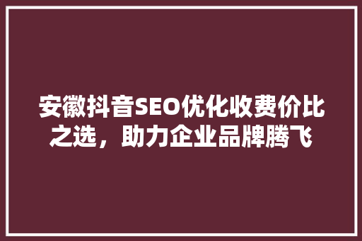 安徽抖音SEO优化收费价比之选，助力企业品牌腾飞