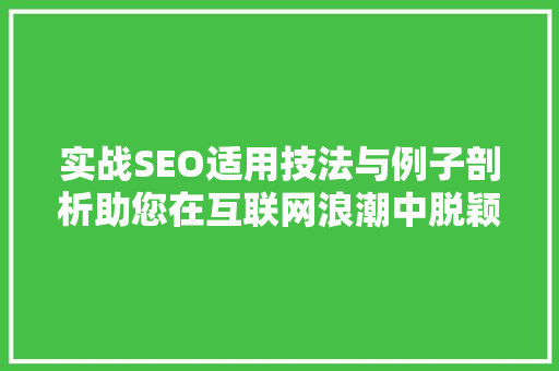 实战SEO适用技法与例子剖析助您在互联网浪潮中脱颖而出