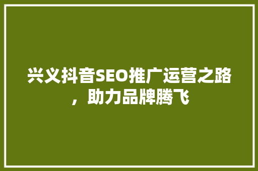 兴义抖音SEO推广运营之路，助力品牌腾飞