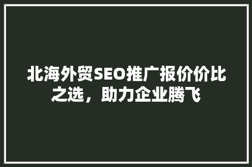 北海外贸SEO推广报价价比之选，助力企业腾飞