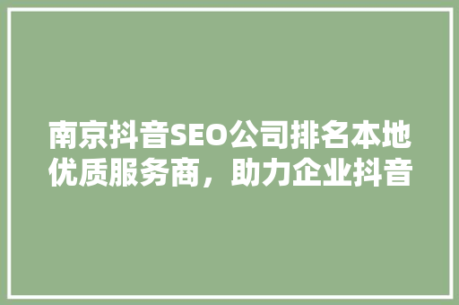 南京抖音SEO公司排名本地优质服务商，助力企业抖音营销新突破