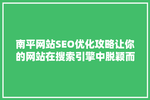 南平网站SEO优化攻略让你的网站在搜索引擎中脱颖而出