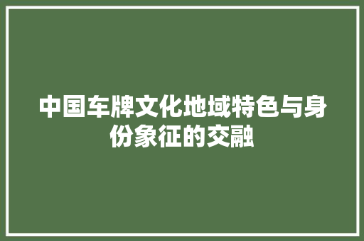中国车牌文化地域特色与身份象征的交融
