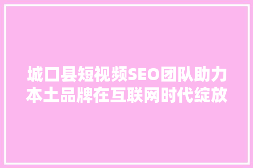 城口县短视频SEO团队助力本土品牌在互联网时代绽放光彩