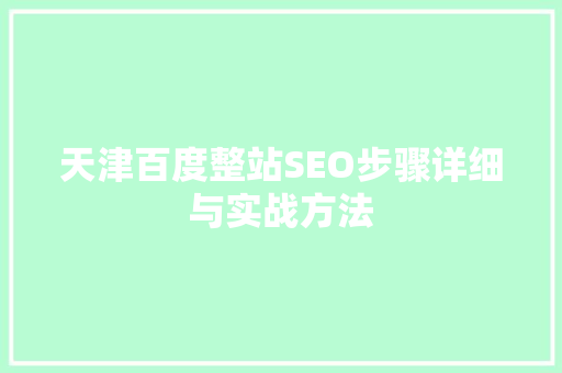 天津百度整站SEO步骤详细与实战方法