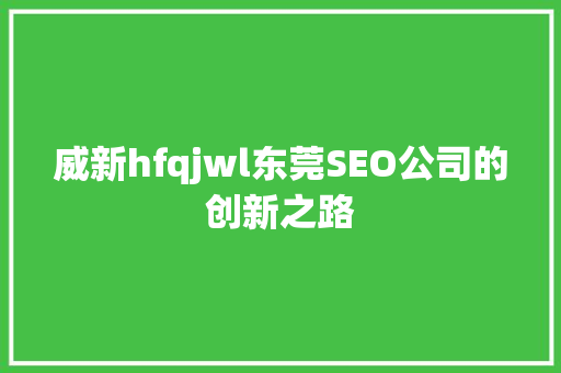威新hfqjwl东莞SEO公司的创新之路