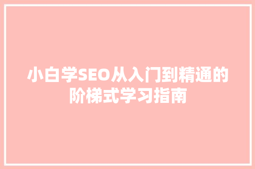 小白学SEO从入门到精通的阶梯式学习指南