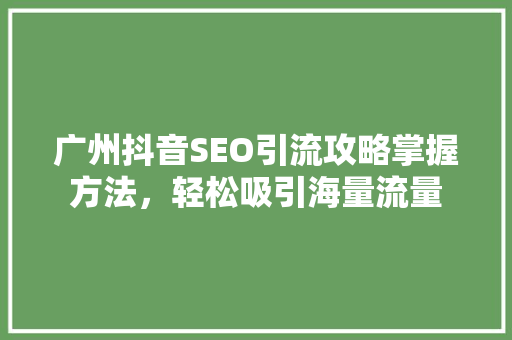 广州抖音SEO引流攻略掌握方法，轻松吸引海量流量