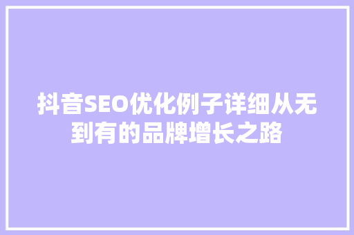 抖音SEO优化例子详细从无到有的品牌增长之路