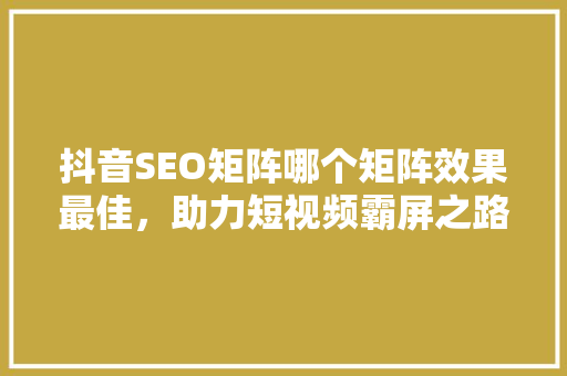抖音SEO矩阵哪个矩阵效果最佳，助力短视频霸屏之路